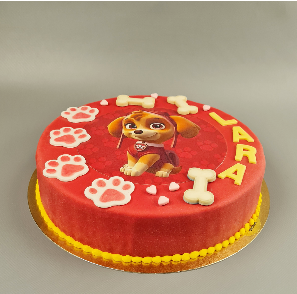 G62 Geburtstagstorte "Paw Patrol"