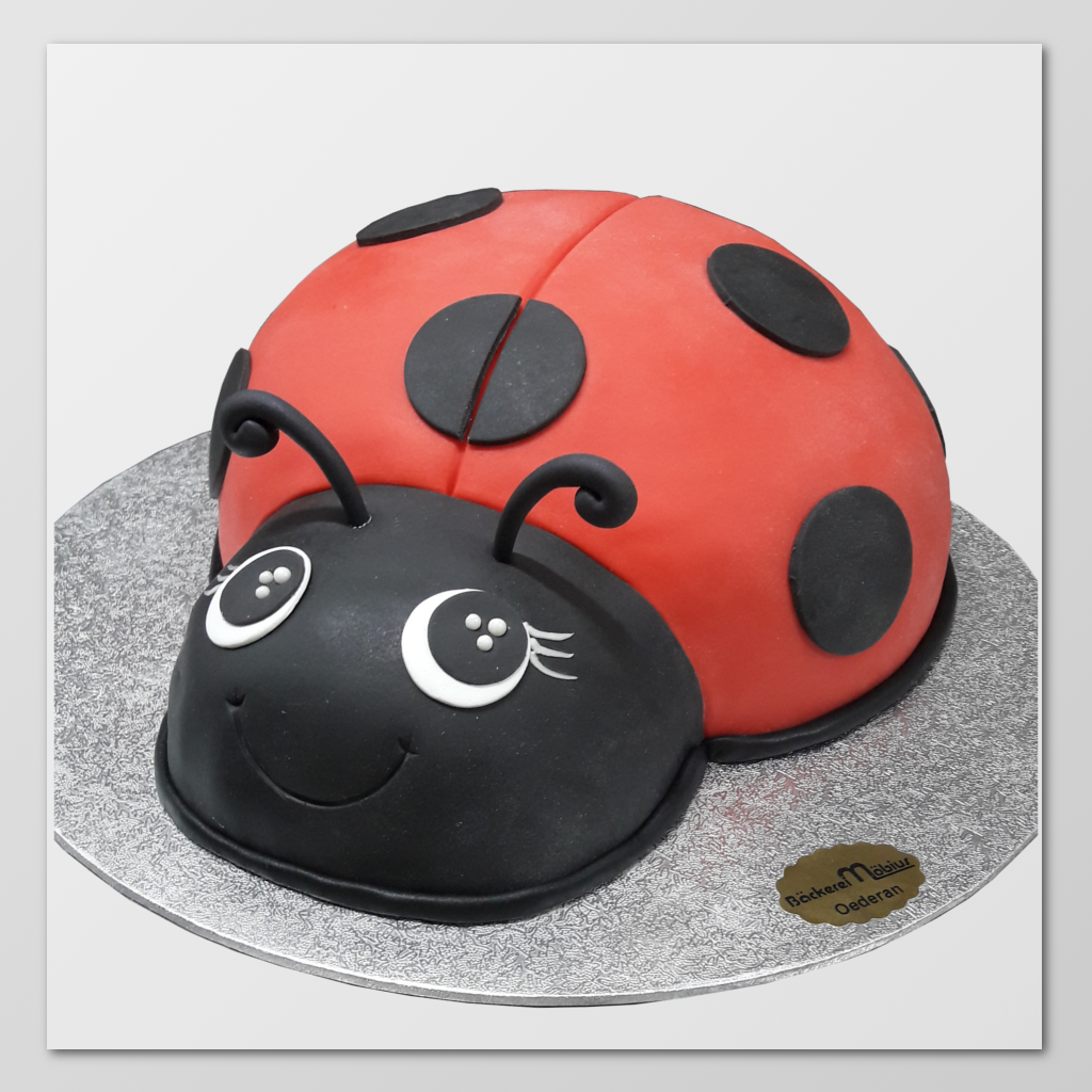 S76 Sondertorte "Marienkäfer"