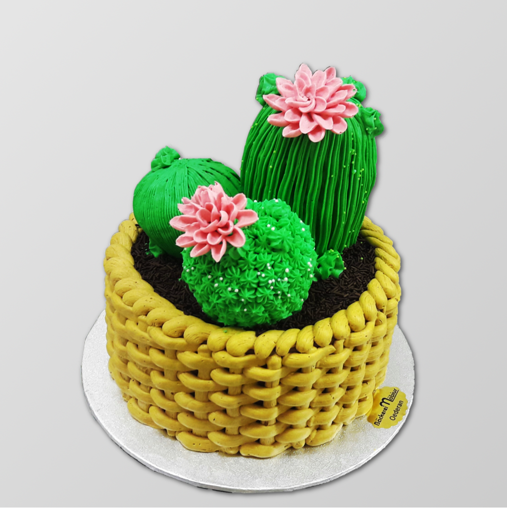 S65 Sondertorte "Kakteen- Korb"