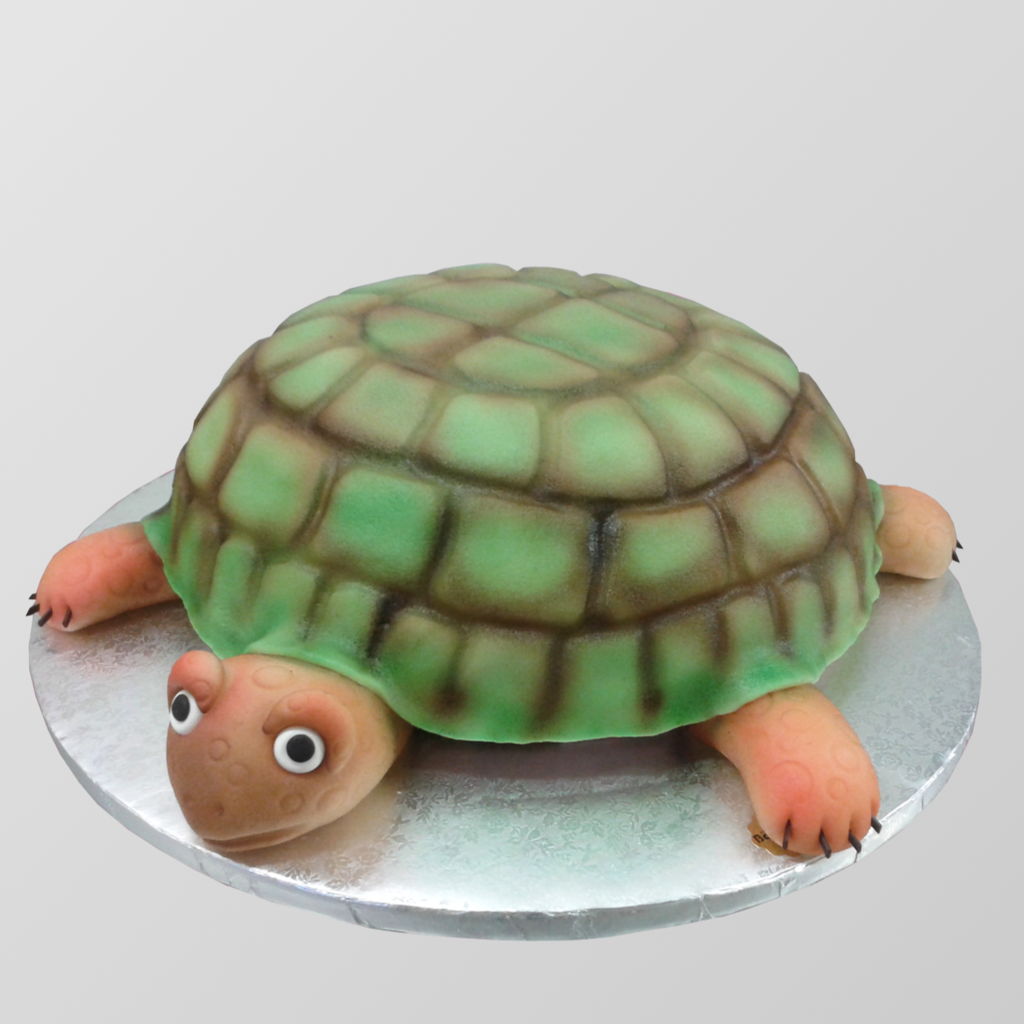 S64 Sondertorte "Schildkröte"